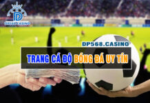 Trang cá độ bóng đá uy tín nhất Việt Nam 2023 DP568
